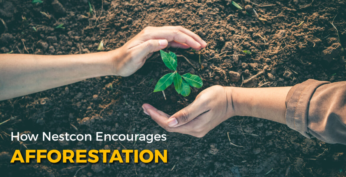 How Nestcon Encourages Afforestation